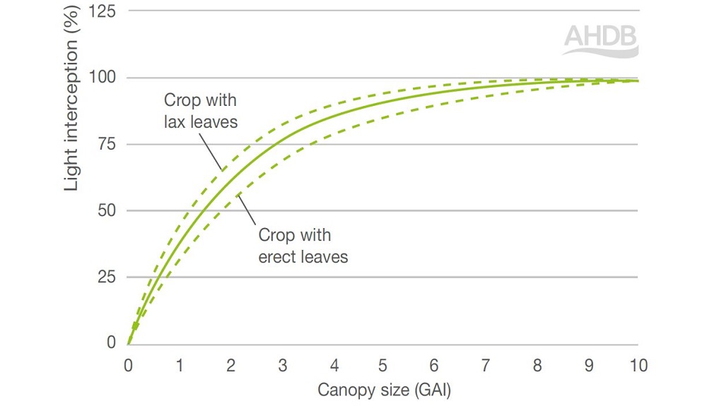 Chart showing how light interception in barley changes with canopy size